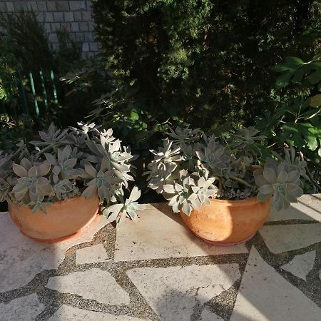 Apartment Quiet Bay Neum Zewnętrze zdjęcie
